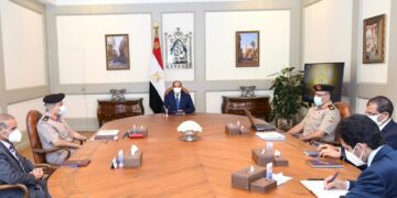 Sisi calls for expanded localisation of clean energy-powered auto industry