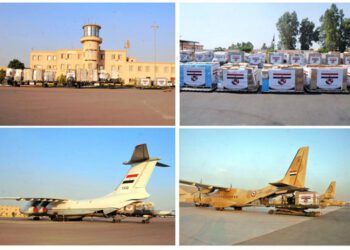 Unfreezing of Mubarak family assets, aid to Tunisia and more in our News Digest