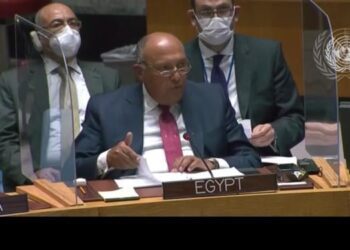 Egypt facing ‘existential threat’ due to Ethiopia’s GERD on Nile: FM tells UNSC