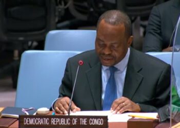 DRC envoy underscores importance of UNSC, AU in settling GERD dispute