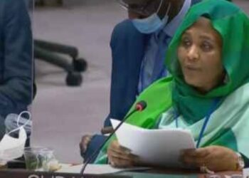 Sudan asserts to UNSC necessity of reaching binding deal on GERD