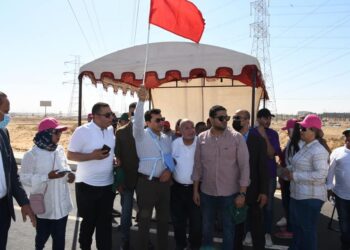 June 30 Revolution changed fate of Egypt-Min