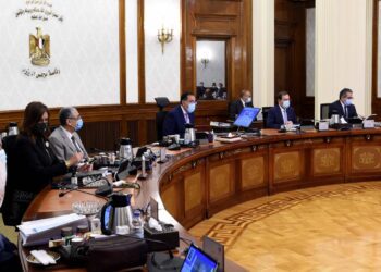 Egypt to produce 80m vaccine doses by end 2021