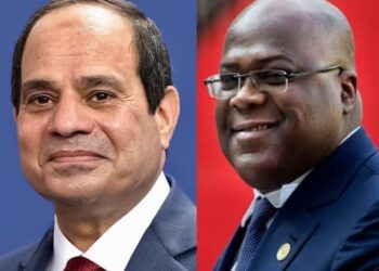 Sisi: Egypt, Sudan’s request to UN over GERD attributed to Ethiopia’s intransigence