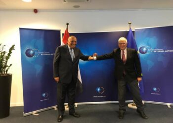 FM highlights Egypt vision to resolve regional crises in Brussels talks