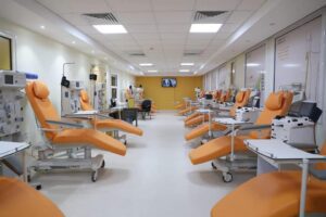 Final touches for plasma plan 2 - Egyptian Gazette