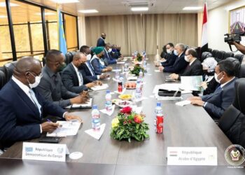 Cairo, Kinshasa probe developments on Ethiopia’s dam