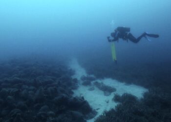Greece’s first underwater museum opens ancient world to dive tourists