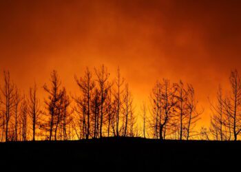 Forest fires rage near Turkish resorts, killing four