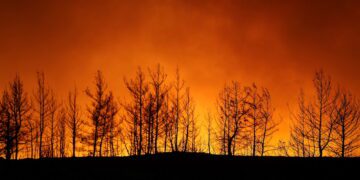 Forest fires rage near Turkish resorts, killing four 1 - Egyptian Gazette Forest fires rage near Turkish resorts, killing four