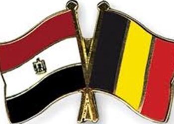 Sisi greets king of Belgium on National Day