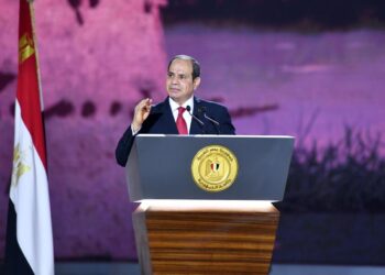 Sisi says he, army sided with Egyptian people’s will
