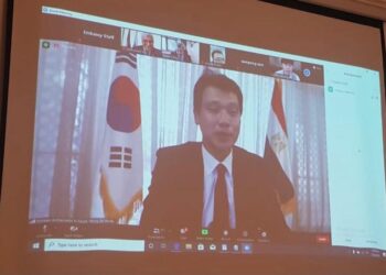 Webinar on boosting economic, investment with S. Korea
