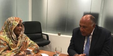 Egypt’s FM holds meetings in New York to highlight position on Ethiopia’s dam issue