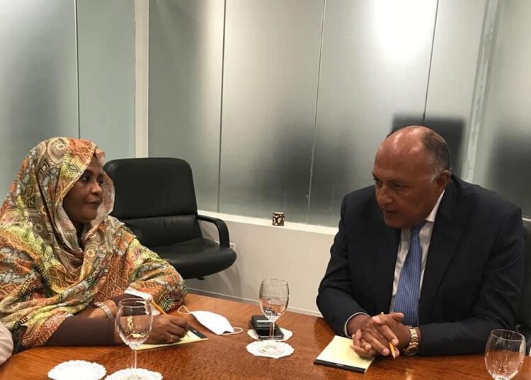 Egypt’s FM holds meetings in New York to highlight position on Ethiopia’s dam issue 2 - Egyptian Gazette Egypt’s FM holds meetings in New York to highlight position on Ethiopia’s dam issue 1 - Egyptian Gazette