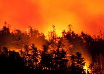 Expected Security Council’s session on GERD, huge forest blaze in Cyprus and more in our News Digest