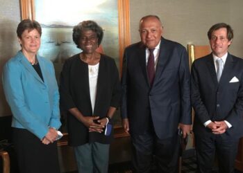 Shoukry discusses GERD file with US, British, French envoys to UN