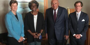 Shoukry discusses GERD file with US, British, French envoys to UN