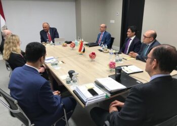 Shoukry meets Estonian representative over Egypt’s stance on GERD