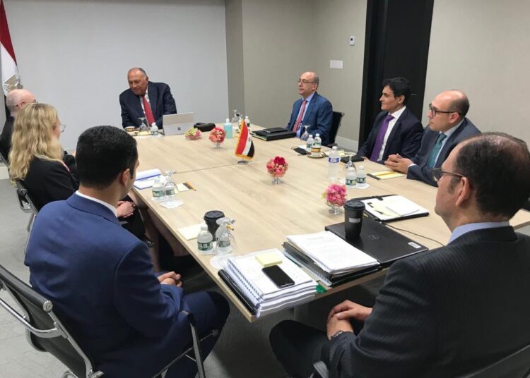 Shoukry meets Estonian representative over Egypt's stance on GERD 2 - Egyptian Gazette Shoukry meets Estonian representative over Egypt's stance on GERD 1 - Egyptian Gazette