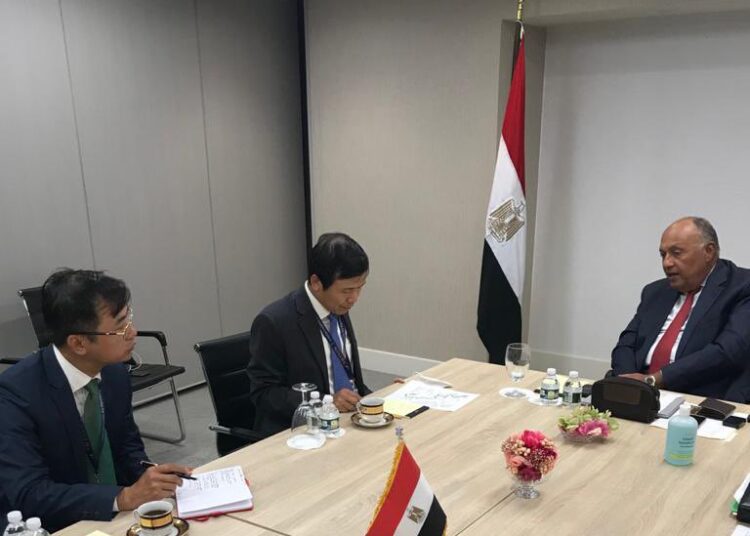 Shoukry talks Ethiopia dam with Vietnam's delegate to UN 1 - Egyptian Gazette