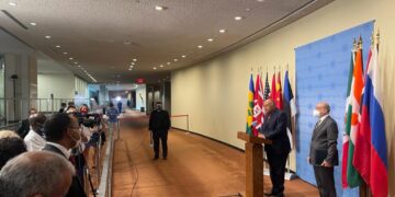 Shoukry asks UNSC to shoulder its responsibility to reach binding deal on GERD
