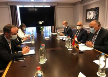 Egypt, Slovenia FMs discuss regional issues, bilateral ties