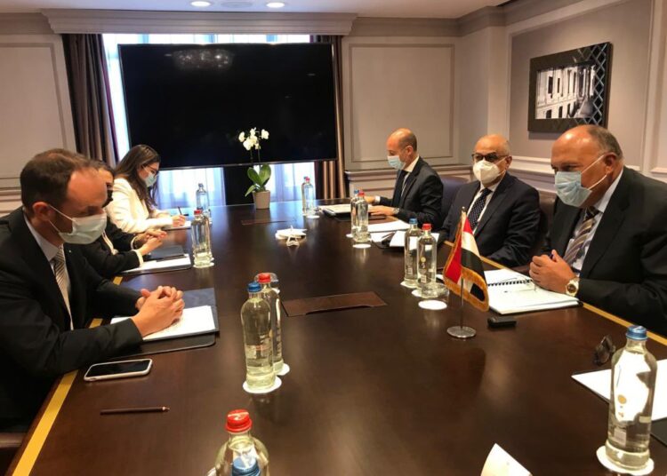 Egypt's Foreign Minister Sameh Shoukry (R) during meeting with his Slovenian counterpart Anže Logar