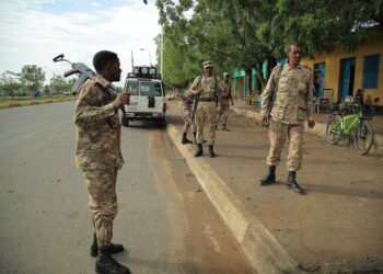 Ethiopia’s Amhara state rallies youth to fight Tigrayans as war expands