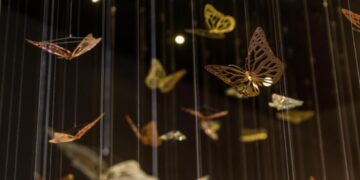 Crystal Asfour Opens Up a World of Unlimited Possibilities