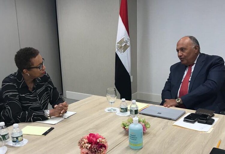 Shoukry meets Saint Vincent and the Grenadines' delegate to UN over GERD 1 - Egyptian Gazette Sameh Shoukry (R) meets with the PR of Saint Vincent