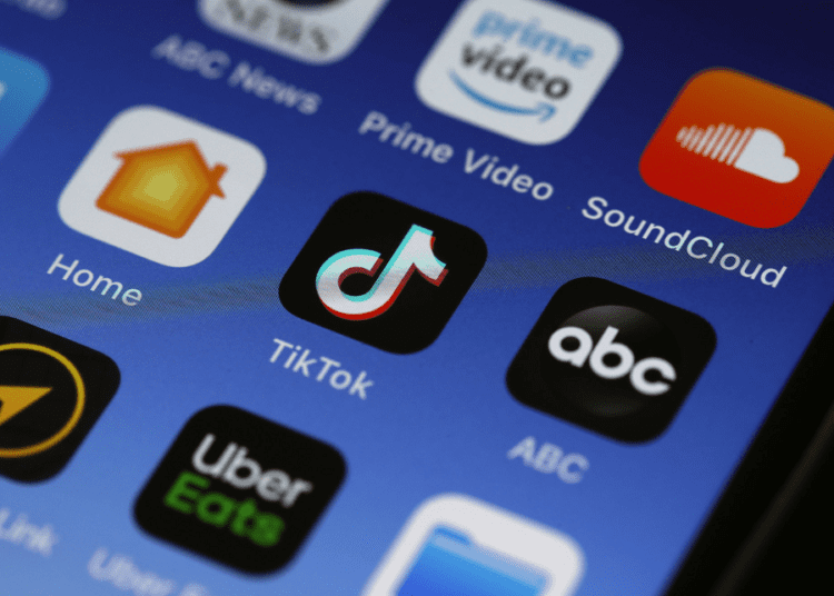 Dutch data protection authority fines TikTok over privacy 1 - Egyptian Gazette