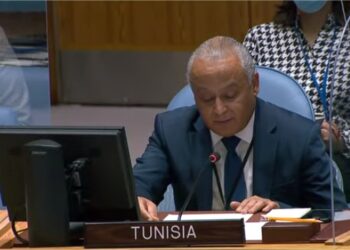 Tunisia’s delegate to UNSC stresses need to avoid harming rights, interests of Nile downstream countries