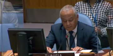 Tunisia’s delegate to UNSC stresses need to avoid harming rights, interests of Nile downstream countries