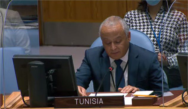 Tunisia's delegate to UNSC stresses need to avoid harming rights, interests of Nile downstream countries 1 - Egyptian Gazette Tunisia's delegate to UNSC