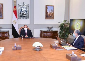 Sisi directs gov’t to prepare national strategy for hydrogen production