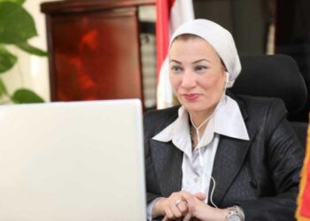 Egypt supports Saudi Arabia’s Green Middle East initiative, says min.