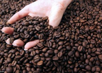 Coffee froths to new highs as Brazil frost hits crops