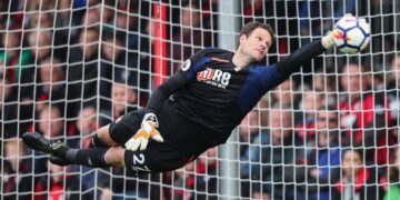 Everton signs winger Townsend, goalkeeper Begovic