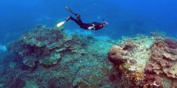 Australia awaits Barrier Reef world heritage ruling