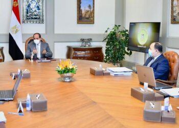 Sisi calls for keeping up good economic indicators, tracking success of developmental process