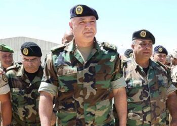 Sisi: National armies constitute backbone guaranteeing cohesion, stability of states