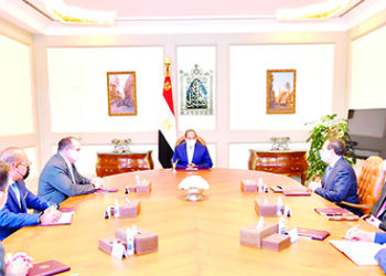 Sisi discusses means to promote co-operation with Apache Corp.
