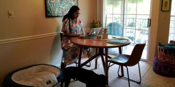 Capitalising on remote work, US cities draw in tech workers 1 - Egyptian Gazette Capitalising on remote work, US cities draw in tech workers