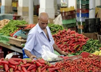 Tunisia’s political crisis poses existential threat to Brotherhood