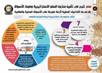 Cabinet: Egypt successfully secured strategic stock of commodities despite coronavirus