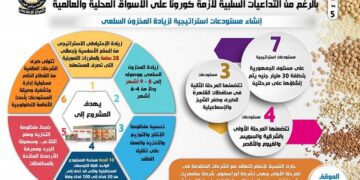 Cabinet: Egypt successfully secured strategic stock of commodities despite coronavirus 1 - Egyptian Gazette Cabinet: Egypt successfully secured strategic stock of commodities despite coronavirus