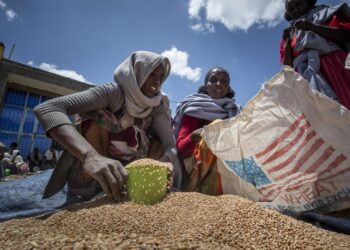 US: Food aid runs out this week in Ethiopia’s Tigray