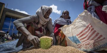 US: Food aid runs out this week in Ethiopia’s Tigray 1 - Egyptian Gazette US: Food aid runs out this week in Ethiopia’s Tigray