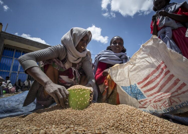 In this Saturday, May 8, 2021 file photo, an Ethiopian woman scoops up portions of wheat to be allocated to each waiting family after it was distributed by the Relief Society of Tigray in the town of Agula, in the Tigray region of northern Ethiopia.